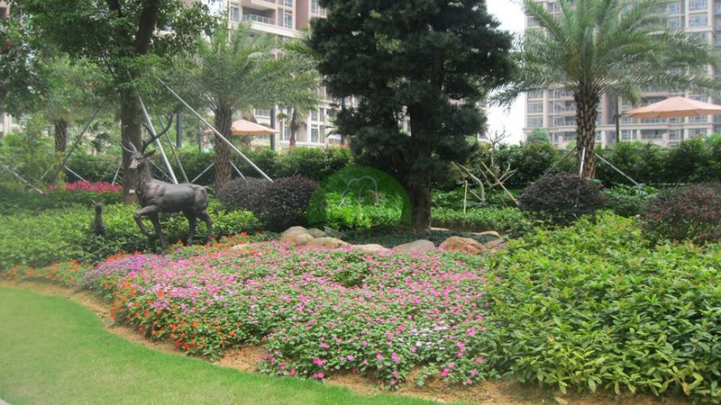冬季高羊茅草坪养护技巧，让你的草坪四季如春**