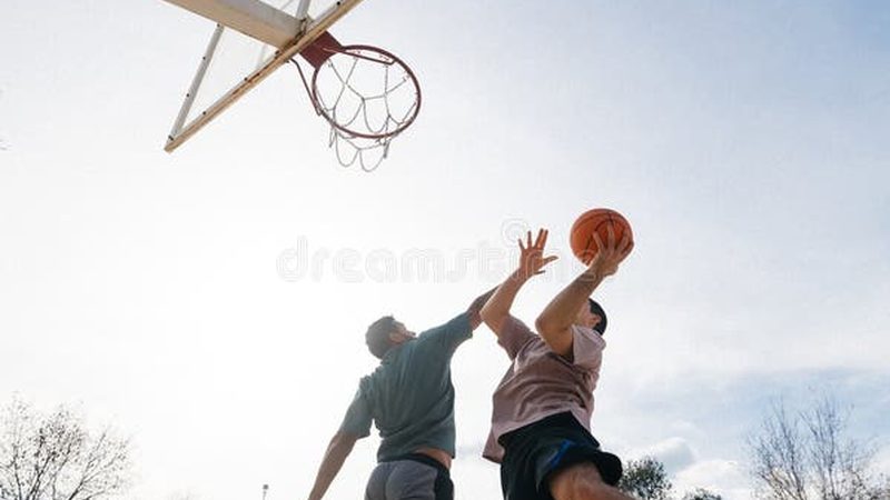花卉租摆：如何根据材质选择合适的安装方案