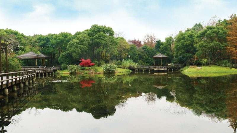 屋顶绿化排水板：标准规范背后的秘密**