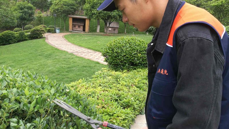 花卉租摆方案设计：材质选择的重要性**