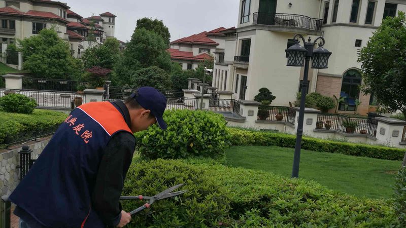 品牌选择：关注品牌口碑与售后服务