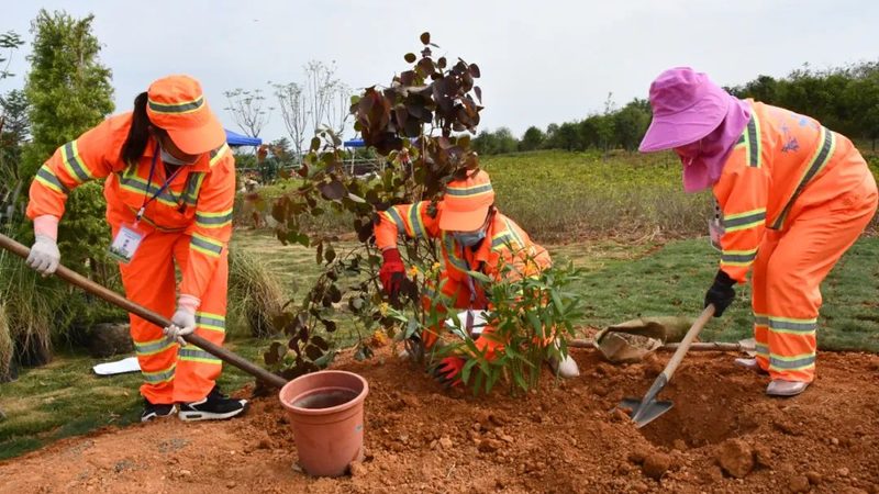园林绿化报价审核注意事项