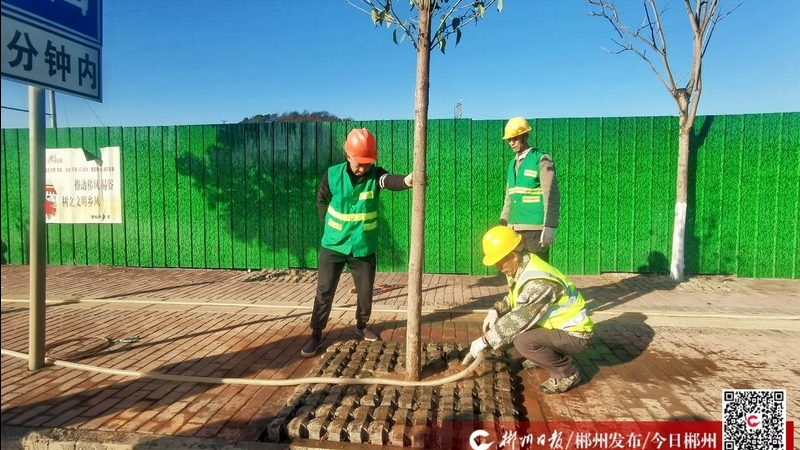 绿化资质三级能承接的项目类型与规模**