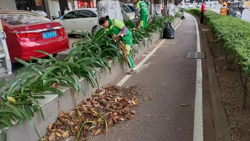 农村小院景观设计：如何打造宜居宜赏的绿色空间