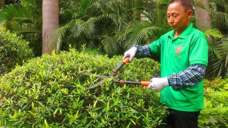 绿化景观设计：传统与现代的碰撞与融合**