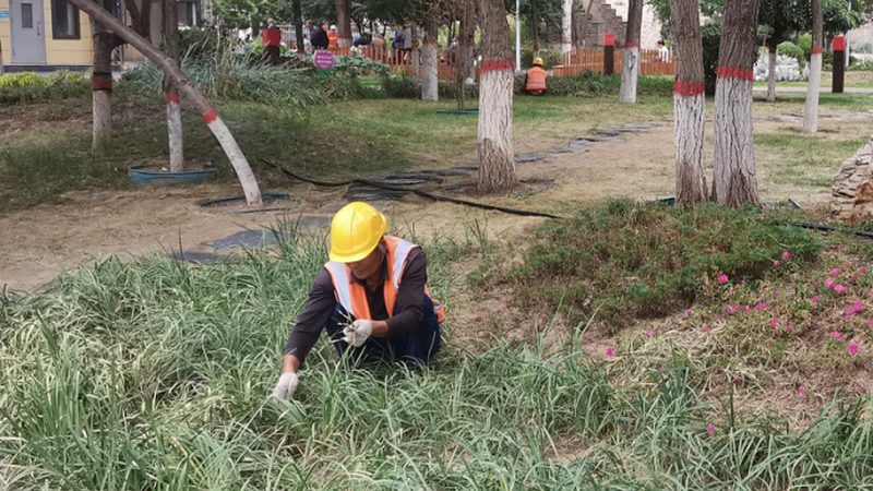别墅花园设计施工：价格背后的考量因素