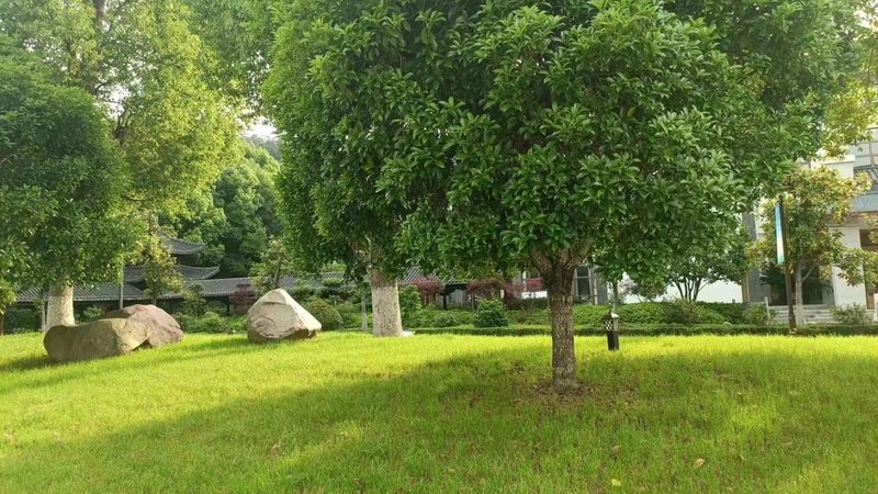 室内绿植租赁养护，如何选择专业公司？**