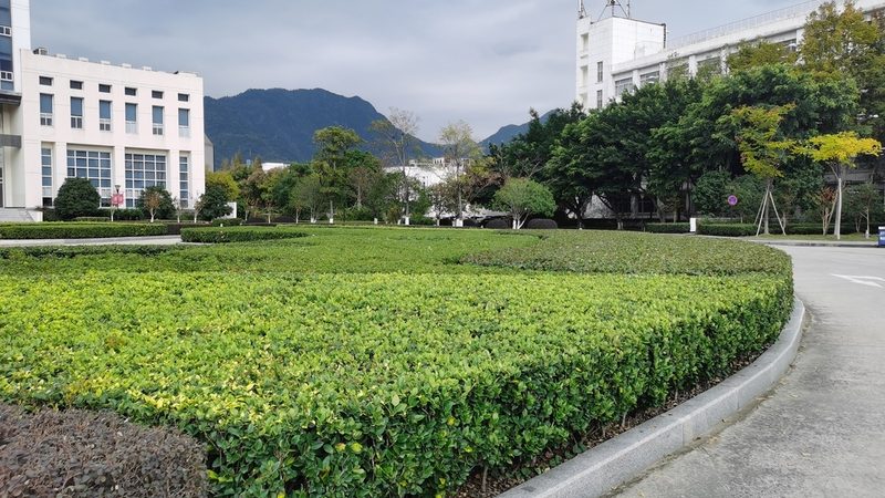 屋顶立体绿化改造施工流程解析