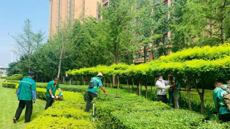 草坪养护是一项系统性的工程，其成本构成主要包括以下几个方面：